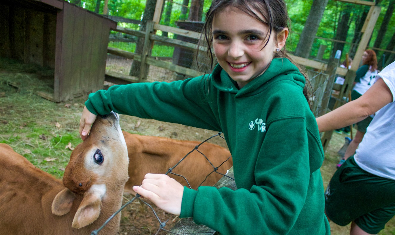 Camper feeding a cow